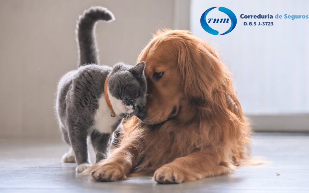 Ley de Bienestar Animal